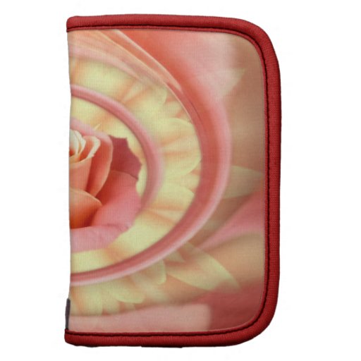 Aumentou swirly em um quadro organizador
