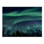 Aurora boreal de Alaska Cartoes Postais