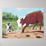 ~ australiano do pastor que trabalha Cowdog Impressão