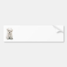 Autocolante no vidro traseiro bonito de Bichon Fri Adesivos