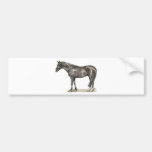 Autocolante no vidro traseiro da arte do cavalo adesivos