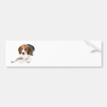 Autocolante no vidro traseiro do cão do lebreiro adesivos