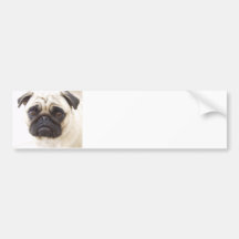 Autocolante no vidro traseiro do cão do Pug Adesivo