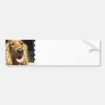 Autocolante no vidro traseiro do cão do Spaniel Adesivo