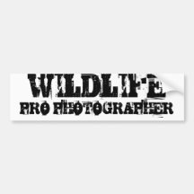 Autocolante no vidro traseiro do FOTÓGRAFO dos ANI Adesivos