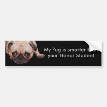 Autocolante no vidro traseiro mais esperto do Pug Adesivos