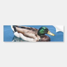 Autocolante no vidro traseiro masculino do pato adesivos