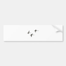 aves migratórias adesivo