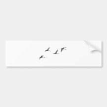aves migratórias adesivos