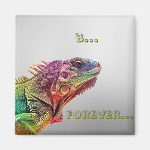b… para sempre… imãs