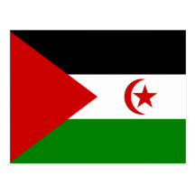Bandeira árabe da república Democrática de Sahrawi Cartão Postal