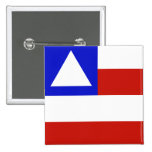 Bandeira de Baía, Brasil Pins