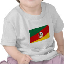 Bandeira de Brasil Rio Grande do Sul Camisetas