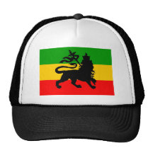 Bandeira do leão boné