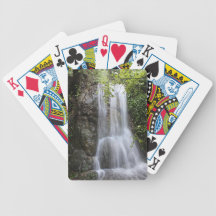 Baraja biodiversidad baraja cartas de poker