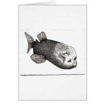 Barreleye Cartões