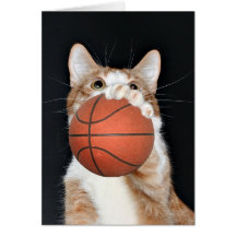 Basquetebol do gato cartao