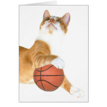 Basquetebol do gato cartao