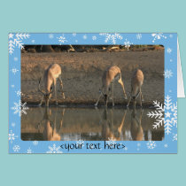 beber, border6, <your text here> postais