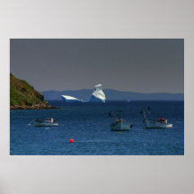 Beco do iceberg poster