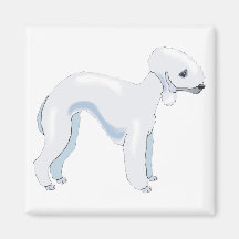 Bedlington Terrier Imas