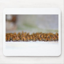 Beesy Mouse Pads
