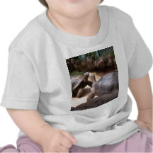 Beijo gigante da tartaruga camiseta