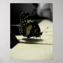 Beijos da borboleta posters