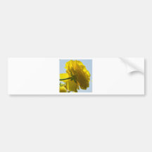 Beleza amarela adesivos