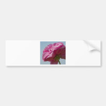 Beleza cor-de-rosa adesivos