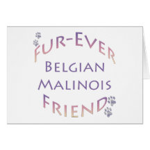 Belga Malinois Furever Cartão