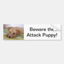 Beware o autocolante no vidro traseiro do filhote  adesivo