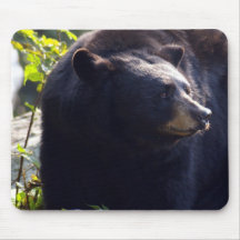 Big Bear Mouse Pad