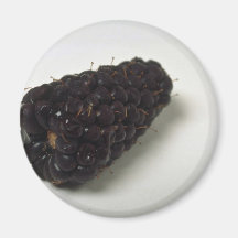 Blackberry delicioso imã