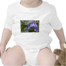 Bluebells Macacões