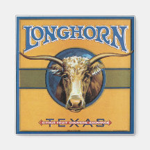 Boi Longhorn de Texas Imã De Refrigerador
