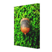 Bolota no musgo impressão em canvas