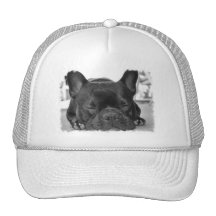 Boné de beisebol do buldogue francês