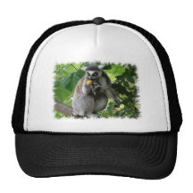 Boné de beisebol do Lemur
