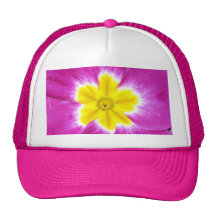 Boné magenta da prímula