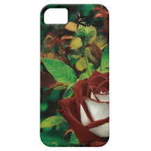 Bonito como umas capas de iphone do rosa capa iPhone 5 Case-Mate