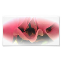 Bonito no rosa foto arte