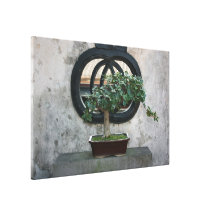 Bonsais na mansão da família de Lin e no jardim, T Impressão Em Tela Canvas
