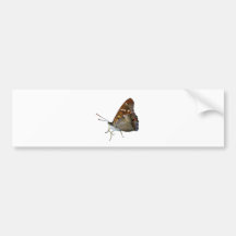 Borboleta Adesivos