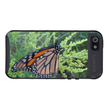 Borboleta de monarca magnífica - caso do iPhone 5 Capa iPhone 5