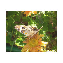 Borboleta do outono impressão em canvas