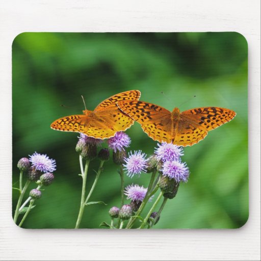 Borboleta Mousepad