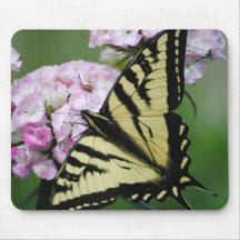 Borboleta na flor doce Mousepad de Williams