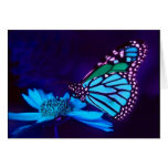 Borboleta no cartão claro azul do amor