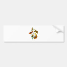 Borboletas bonitas adesivo